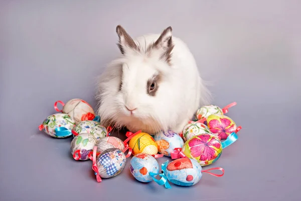 Jaja wielkanocne i króliki — Zdjęcie stockowe