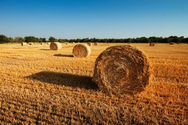 Haystacks hasat sonrası saman