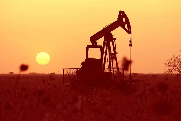 Oil pump at sunset — Stock Photo, Image