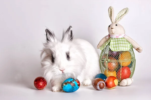 Lapin de Pâques Images De Stock Libres De Droits