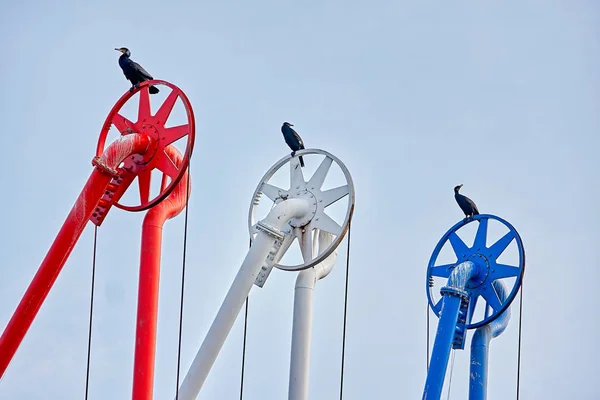Vogels in de haven — Stockfoto