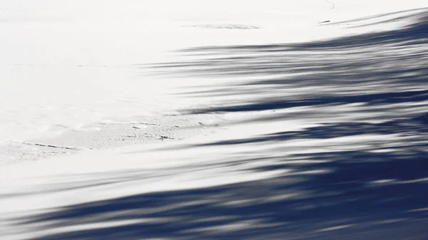 Skuggor i snön — Stockfoto