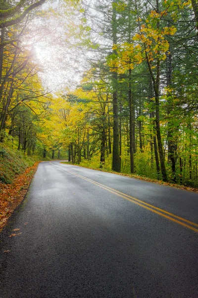 Historic Columbia River Highway in Fall — Stock Photo, Image
