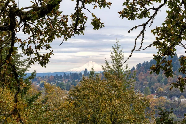 Mount Hood da Willamette Falls si affaccia — Foto Stock