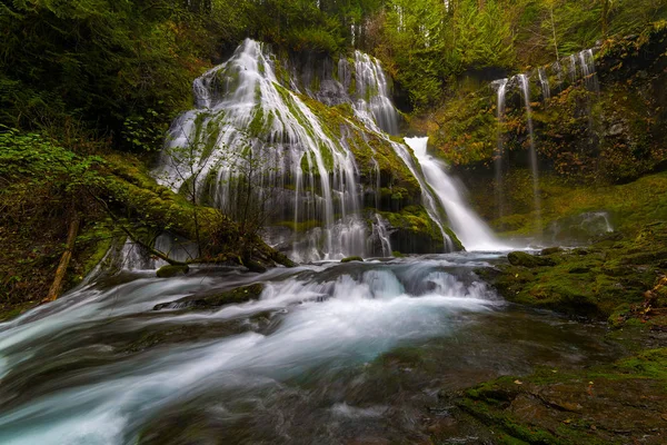 Panther Creek Falls — Stockfoto