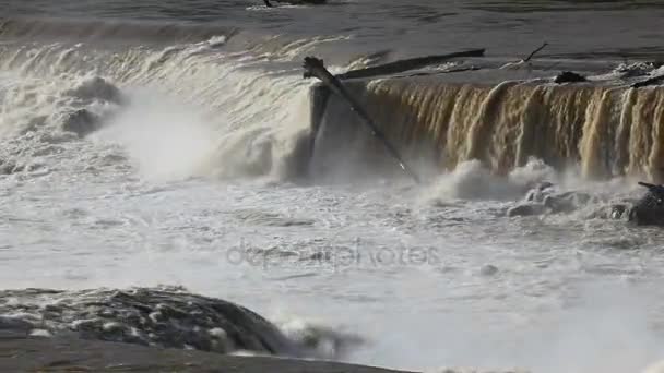 Closeup βίντεο ορμήξει το νερό του Willamette Falls με ήχο σε Όρεγκον πόλης Hd — Αρχείο Βίντεο