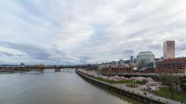 Zaman atlamalı bulutların üzerinde ya da Portland şehir çiçekli Cherry Blossom ağaçları ile