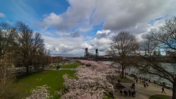 Временной промежуток облаков над Портлендом или центральной набережной с вишневыми деревьями весной 4k — стоковое видео
