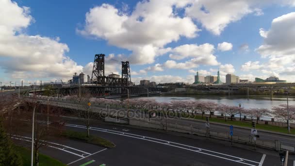 Tidshorisont af skyer og himmel med Sakura kirsebær blomstre træer i downtown byen Portland eller 4k – Stock-video