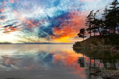 Gün batımında Washington eyaletinde yaban kedisi Cove