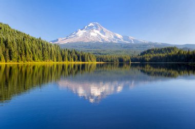 Mount Hood on a Sunny Day with water reflection in Oregon  clipart
