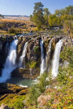 tygh Vadisi Oregon'da White river falls
