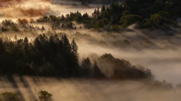 Time lapse vidéo de brouillard faible en mouvement avec des rayons de soleil perçants sur la rivière Sandy tordue au lever du soleil un matin tôt en Oregon 4k uhd 4096x2304 — Video