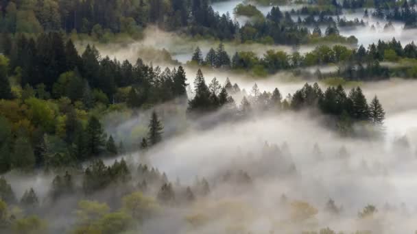 Zeitraffer-Nahaufnahme Video von Nebel über sandigem Fluss in sandigem oder 4k uhd — Stockvideo