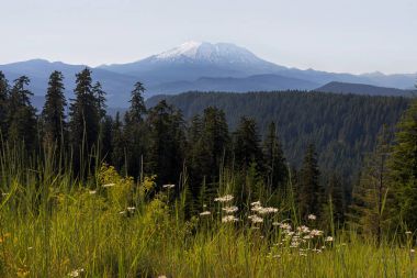 Mount St Helens in Washington State clipart