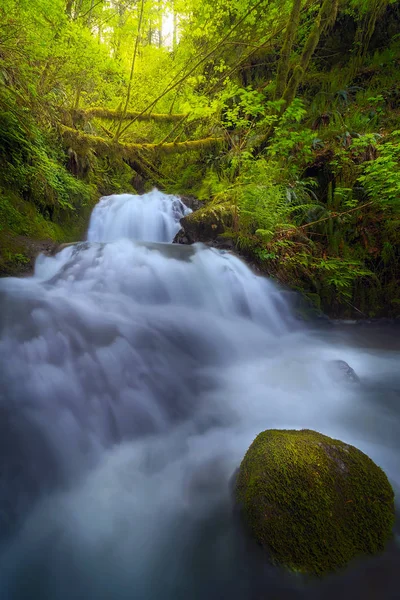 Wodospad w Shepperds Dell Falls w stanie Oregon — Zdjęcie stockowe