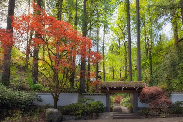 Portland Oregon ilkbaharda Japon bahçe kapısı — Stok fotoğraf