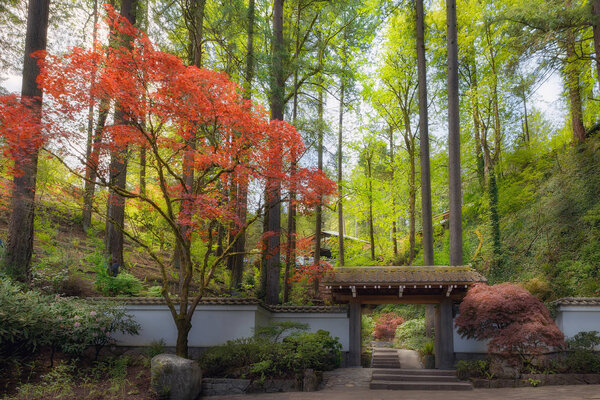 Gateway to Portland Japanese Garden in Oregon Spring