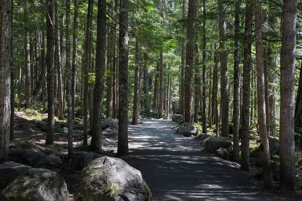 Trilha Caminhada no Parque Provincial Brandywine Falls — Fotografia de Stock