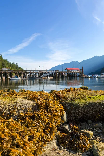 Bassa marea a Horseshoe Bay Canada in una giornata di sole — Foto Stock