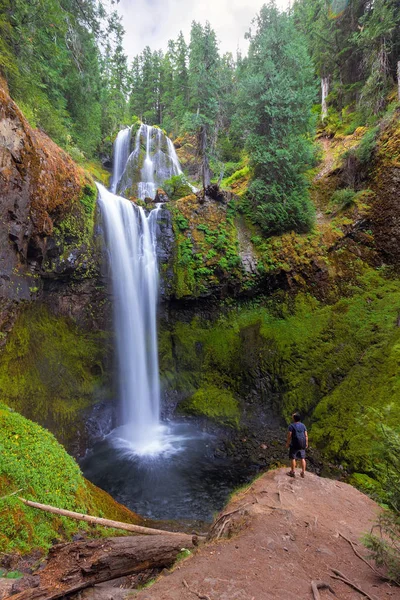 Vandring till Falls Vreek Falls i Washington State — Stockfoto