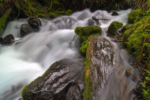 Wahkeena Creek, wzdłuż rzeki Columbia Gorge w Oregon — Zdjęcie stockowe