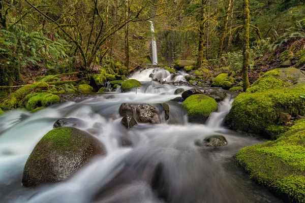 Dry Creek Falls w wiosenny — Zdjęcie stockowe