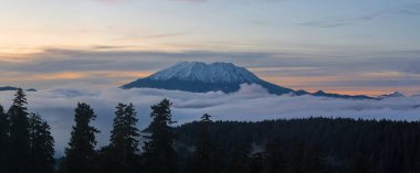 Blanket of Fog Below Mount Saint Helens at sunset clipart