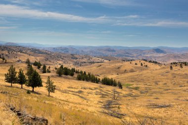 Merkezi Oregon ABD Amerika'nın dağlık arazi