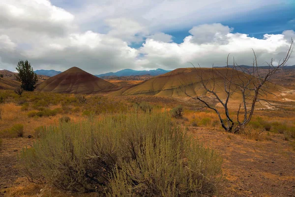 Painted Hills Landscape in Central Oregon USA America — Stock Photo, Image