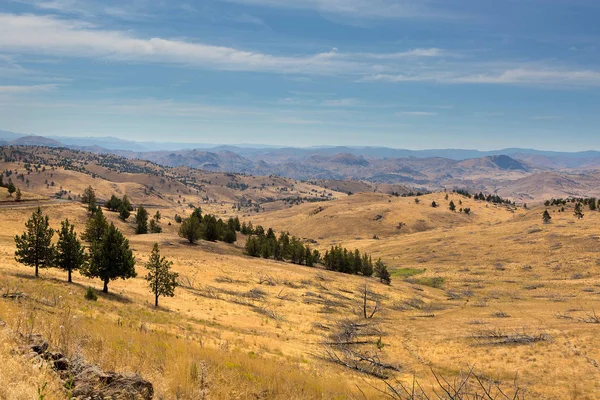 Terreno montagnoso nell'Oregon centrale USA America Fotografia Stock