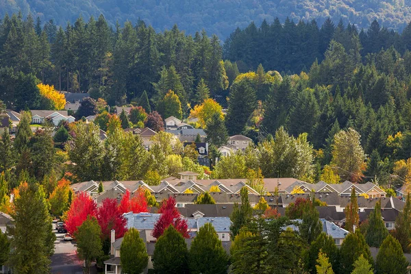 Смешанное жилье североамериканского пригородного района осенью — стоковое фото