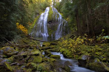 Proxy Falls Oregon ABD 