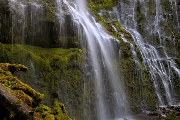 Proxy Şelalesi portre