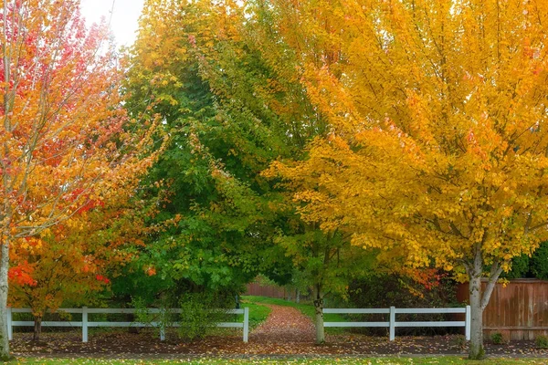 Colori autunnali all'ingresso del parco nel quartiere periferico — Foto Stock