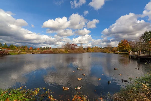 Commonwealth Lake Park v Beavertonu Oregon Usa Amerika — Stock fotografie