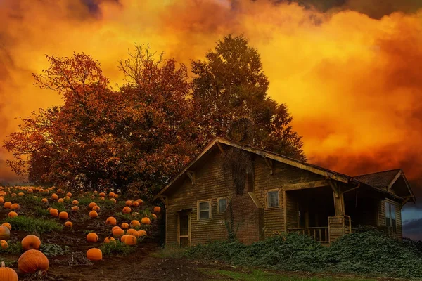 Old House Pumpkin Patch en Oregon Estados Unidos — Foto de Stock