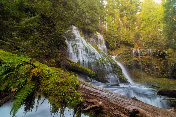 Log Jam por Panther Creek Falls no estado de WA EUA — Fotografia de Stock