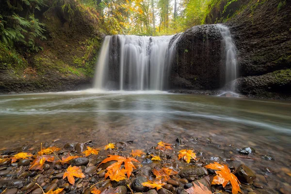 Cascate nascoste a Clackamas O stagione autunnale USA — Foto Stock