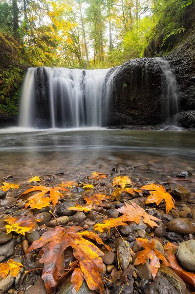 Caduta Maple Leaves a Hidden Falls a Clackamas O stagione autunnale USA — Foto Stock
