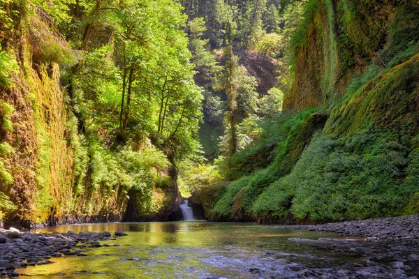 Columbia Gorge-vízesés a nyári Oregon Amerikai Egyesült Államok — Stock Fotó