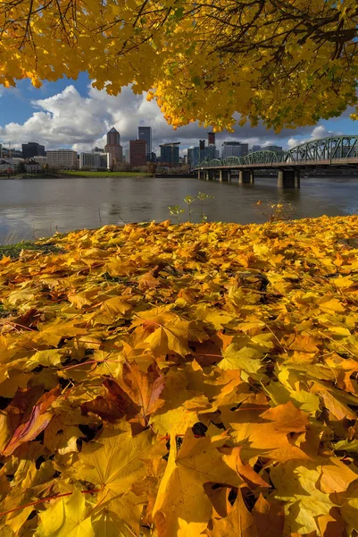 Falla lövverk och Portland eller stadens silhuett höstsäsongen — Stockfoto