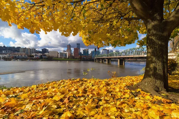 Осенняя листва в Портленде или центре города — стоковое фото