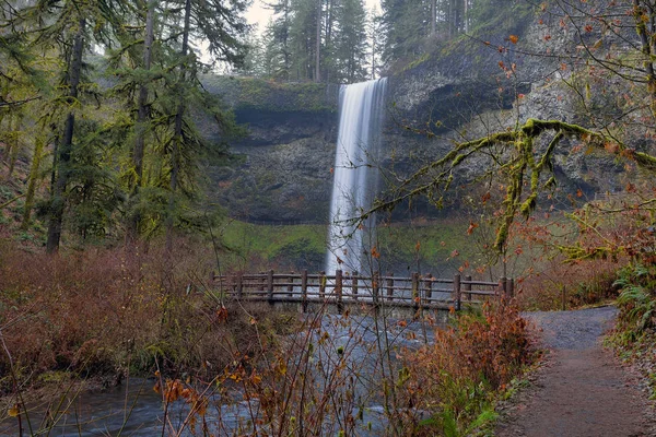 Trä bro på vandringsled på Silver Falls State Park Oregon Usa — Stockfoto
