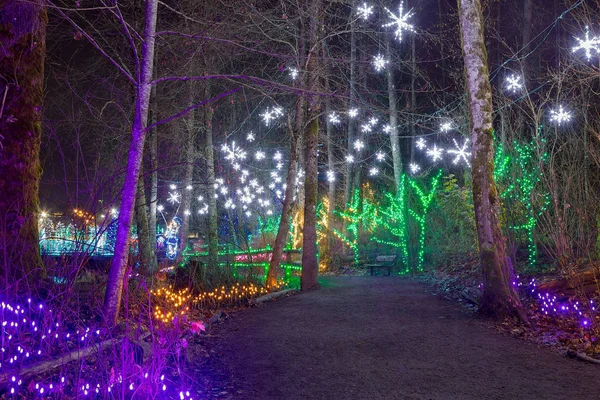 Christmas Lights Decoration along Lafarge Lake Path BC Canada Stock Image