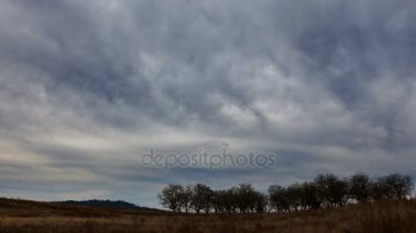 Ultra yüksek çözünürlüklü 4 k zaman sukut film fırtınalı bulutlar ağaçlar ile geniş meadowland üzerinde hareket eden ve çim Powell Butte doğa Park Portland Oregon'da bir kış günü 3840 x 2160 Uhd