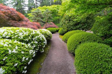 Stroling Bahçe yolu Japon bahçe içinde
