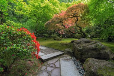Japon bahçe taş yolu gezinme
