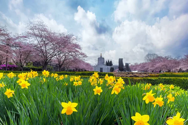 Oregon State Capitol in lente seizoen — Stockfoto