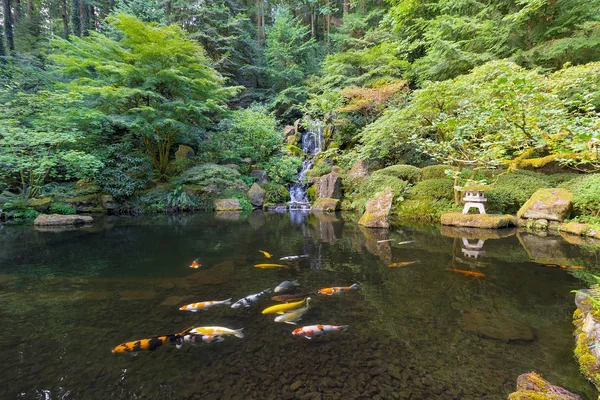 Koi Fish in Waterfall Pond at Japanese Garden — Stock Photo, Image